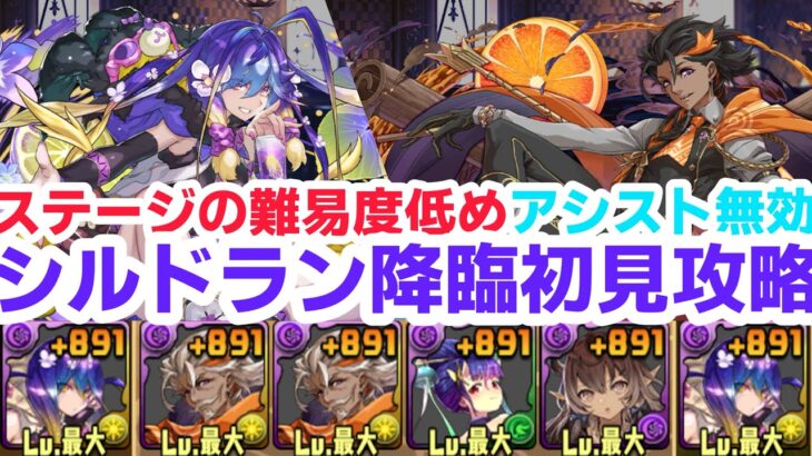 【パズドラ】シルドラン降臨バイオレット・フィズで初見攻略！簡単です！魔法石ゲットしよう！