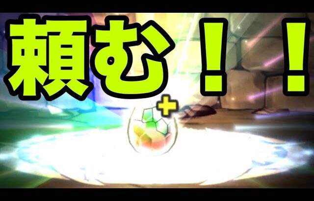 恐怖と絶望の『ソロモン一点狙いガチャ』【パズドラ】