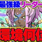 ソロモンは環境最強リーダー第何位？新フェス限の評価について解説！！！【パズドラ】