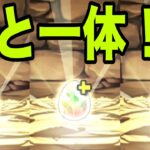 恐怖と絶望の『カシアン一点狙いガチャ』番外編　歴世の杯と神創の雫【パズドラ】