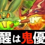 【速報】夏休みチャコルマドゥ武器は絶対確保？逆にみんなの評価を聞かせてくれ！【パズドラ】