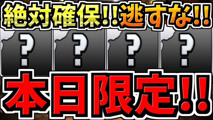 【本日限定(10時まで)】逃すと絶対後悔します！2つ！超大事なヤツから一部の人に必要なヤツまで！徹底解説【パズドラ】