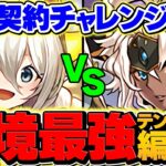 【最難関】契約チャレンジをイデアルで攻略！+297でもこれ組めば勝てます！代用&立ち回り解説も！【パズドラ】