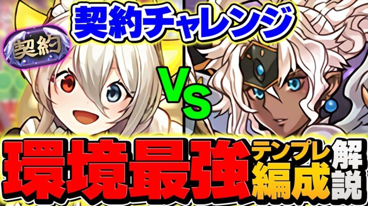 【最難関】契約チャレンジをイデアルで攻略！+297でもこれ組めば勝てます！代用&立ち回り解説も！【パズドラ】