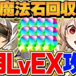 【+297でOK】イデアルで8月EXラッシュを攻略!!代用+立ち回り解説！【パズドラ】