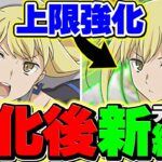 【元最強】上限値99億アプデで奇跡の復活！？8月LVEXをアイズで攻略！立ち回り解説【パズドラ】