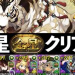 【金星チャレンジ】いつもの簡易ロゼッタPTで17分攻略！クリア用にオススメ！891不要【パズドラ】