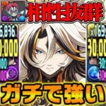 【ぶっ壊れ】最強多色リーダー爆誕！金星と猗窩座の相性が抜群すぎてヤバい【パズドラ】