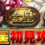 【パズドラ配信】金星チャレンジ 初見攻略！！俺がくじけることは絶対にない配信！！【パズドラ実況】