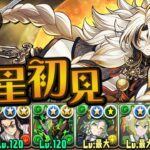 これはもしや脳筋ダンジョンか！？金星チャレンジ初見！【パズドラ】