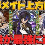 【衝撃】メイド&執事イベント復活！既存キャラ強化で人権リーダー誕生したんだがｗｗｗｗ【パズドラ】