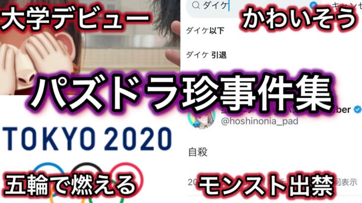 王者パズドラ  何やっても炎上する【パズドラ事件簿