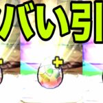 恐怖と絶望の『メニットチャオリン一点狙いガチャ』最終回　夏休み【パズドラ】