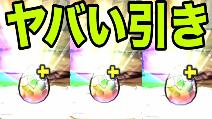 恐怖と絶望の『メニットチャオリン一点狙いガチャ』最終回　夏休み【パズドラ】