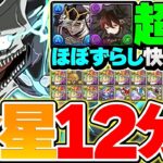 【金星12分】童磨超えの最速ずらし周回編成！日比野カフカ×クロトビ型編成！これ組めば勝ち組確定です！【パズドラ】