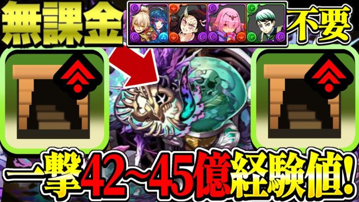【絶対作れ】今だけ取れる無課金キャラが大活躍！最新版12億コロシアム伊黒編成が神すぎる【パズドラ】