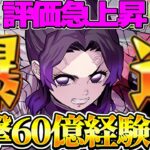 ランク1,800までノンストップ！無効貫通を組むだけの爆速12億コロシアム編成がヤバすぎる【パズドラ】