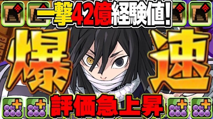 30分で100億経験値！最新版爆速伊黒12億コロシアム編成がヤバすぎる【パズドラ】