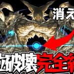 部位破壊問題に対する運営の答えがヤバすぎた百花繚乱6【パズドラ】