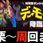 【デーモン降臨】簡易バレノア編成で超快適周回！クリア用F91編成も【パズドラ】