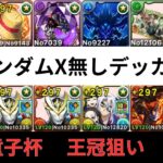 ガンダムX無しデッカー！酒呑童子杯王冠狙い編成【パズドラ】【ランダン】