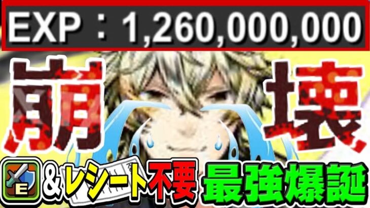【炎上→神ダンジョン】１２億コロシアム完全崩壊！アシスト無し爆速周回編成がヤバすぎる【パズドラ】