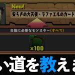 【ラファエル降臨】交換カードそれぞれの確保数について【パズドラ】