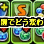 【新覚醒】強力な新覚醒が追加！それと同時に今後心配になる点も？【パズドラ】
