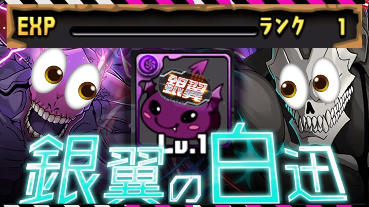ランク1から銀翼チャレンジぶっ壊してみた💀【パズドラ 怪獣8号】