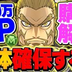 100万MP購入解説！四宮功は何体確保すべき！？迷ってる人向け解説！！【パズドラ】