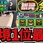 【環境1位】最強相方○○採用でさらに強くなった最強テンプレ解説！銀翼チャレンジ周回！ミナ×○○編成！代用・立ち回り解説！怪獣8号コラボ【パズドラ】