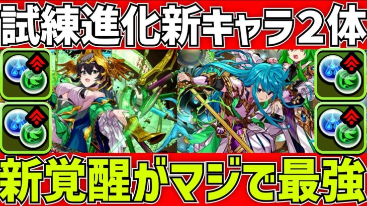 試練進化キャラ性能解説！新覚醒がマジで最強な件！1Tで生成&上限解放ループ！【パズドラ】