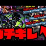 【ガチギレ】3000万ダメージ連発にガチギレしながら立ち向かう怪獣9号【ダックス】【パズドラ実況】