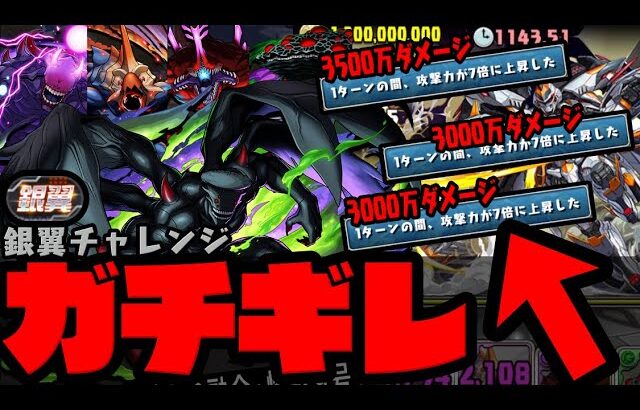 【ガチギレ】3000万ダメージ連発にガチギレしながら立ち向かう怪獣9号【ダックス】【パズドラ実況】