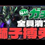 【4ガチ】ガンホーツアー京都に向けガチ特訓！　　#shorts #short  　#パズドラ