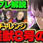 【ガチ接待】鳴海弦で銀翼チャレンジを完全破壊！怪獣8号キャラ多め！代用&立ち回り解説も！【パズドラ】