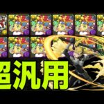 俺の完成した『超高汎用キコル編成』見てくれよ　怪獣8号コラボ【パズドラ】