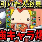 【最強キャラ爆誕】怪獣8号鬼滅引いた人必見！サンリオ5体性能解説！パズドラ最新情報解説【パズドラ】