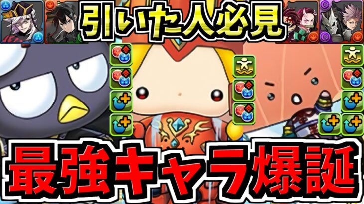 【最強キャラ爆誕】怪獣8号鬼滅引いた人必見！サンリオ5体性能解説！パズドラ最新情報解説【パズドラ】