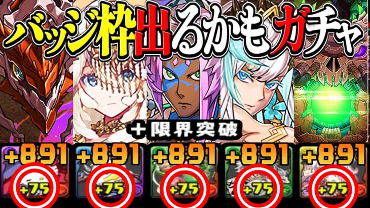 【情報解禁】新規コラボは⁈ 無料神ガチャと+891条件緩和フラグと最新攻略環境がヤバすぎる【パズドラ】