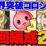 キコルで+891を作ろう！周回編成2パターン解説！1枚抜き対応！これが一番強いと思います！！【パズドラ】