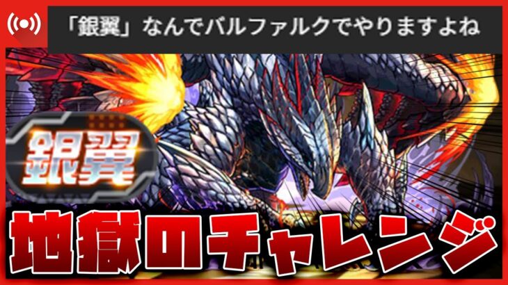 【パズドラ ドラゴン縛り】銀翼の凶星 バルファルクで銀翼チャレンジに挑む！地獄の４秒パズルで戦えるのか!? #shorts