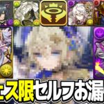 【所持者勝ち組】コラボ環境→本家環境へ⁉︎ 色違い進化ラッシュと新フェス限セルフリークがヤバすぎる【パズドラ】