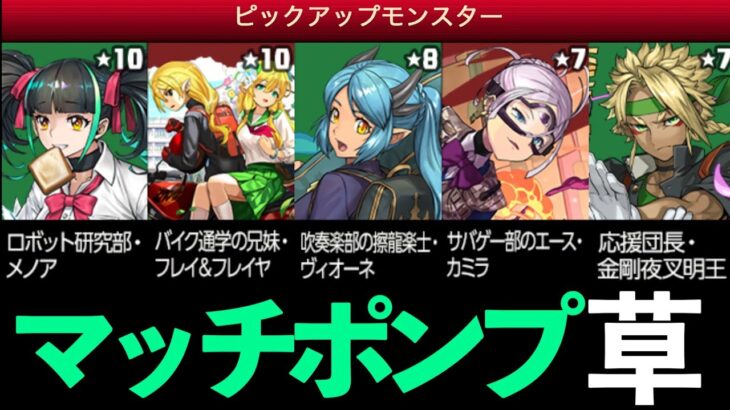 【学園カミラ】ハロウィンナイト特攻ガチャきて草【パズドラ】