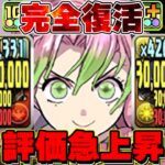 圧倒的安定感！最新版乳柱が万能すぎた銀翼チャレンジ【パズドラ】