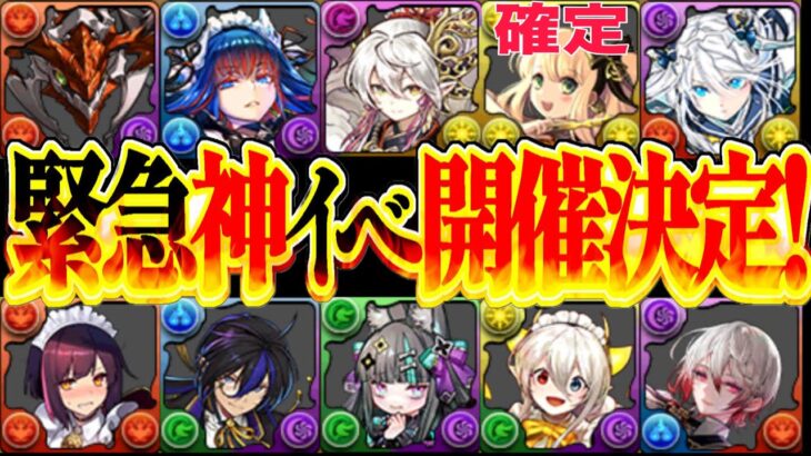 【絶対やろう】人権、モンポ、魔法石難民救済イベントがヤバすぎる【パズドラ】