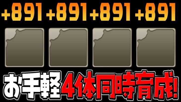 【今だけ交換可能】最新版限界突破コロシアム編成が天才すぎたサンリオコラボ【パズドラ】