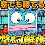 【神ダンジョン】本日開催！サンリオキャラ達のランク上げ適正がヤバすぎた【パズドラ】
