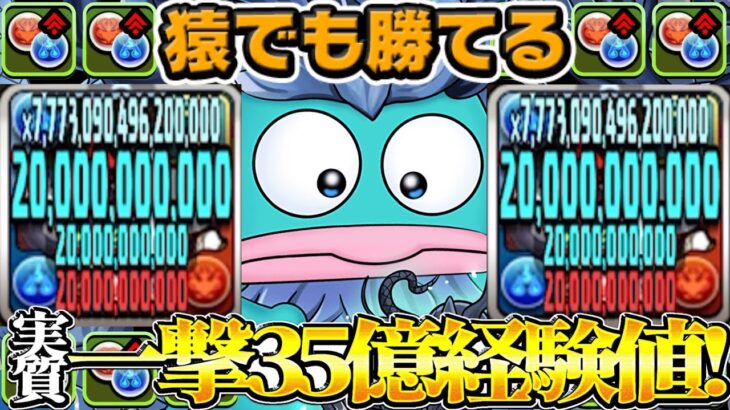 【神ダンジョン】本日開催！サンリオキャラ達のランク上げ適正がヤバすぎた【パズドラ】