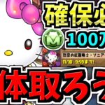 【確保必須】◯体確保するべき！モンポ購入ソニアキティ+α確保解説！後悔注意です！【パズドラ】